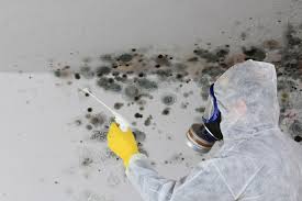 Best Industrial Mold Remediation  in Idalou, TX